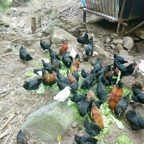 首页- 腾博会集团有限公司官方网站