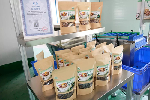 首页- 腾博会集团有限公司官方网站