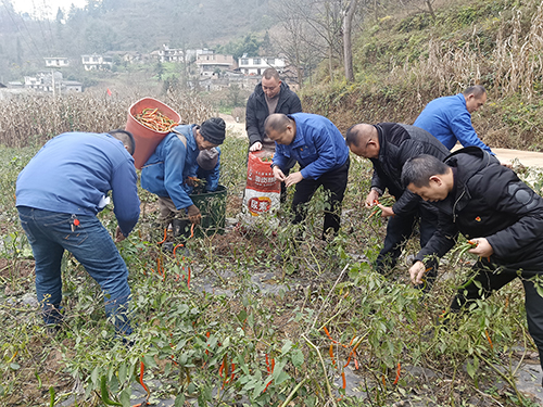 首页- 腾博会集团有限公司官方网站