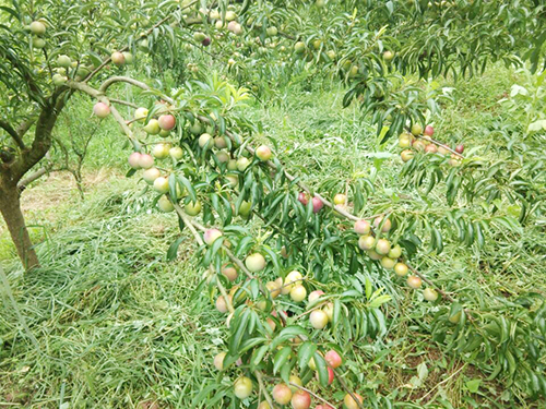 首页- 腾博会集团有限公司官方网站