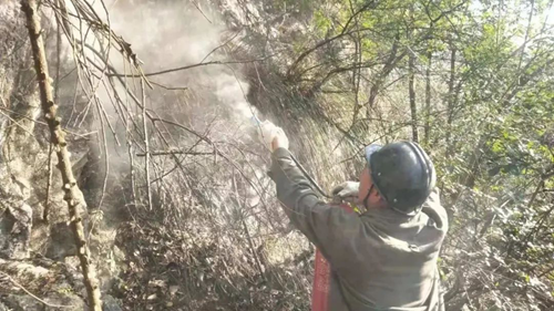 首页- 腾博会集团有限公司官方网站