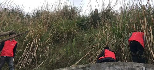 首页- 腾博会集团有限公司官方网站