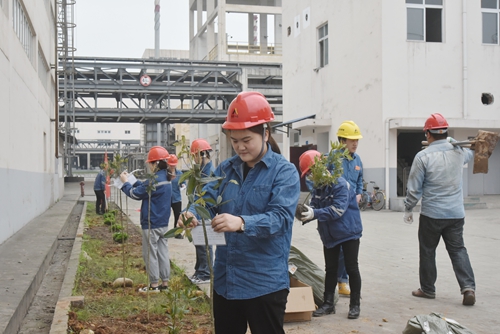 首页- 腾博会集团有限公司官方网站