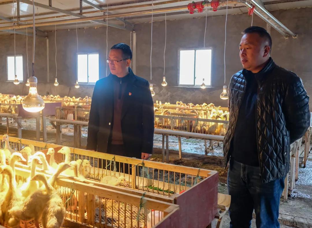 首页- 腾博会集团有限公司官方网站