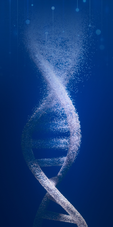 首页- 腾博会集团有限公司官方网站