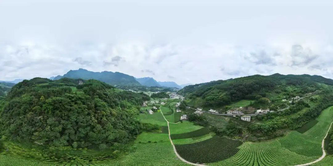 首页- 腾博会集团有限公司官方网站